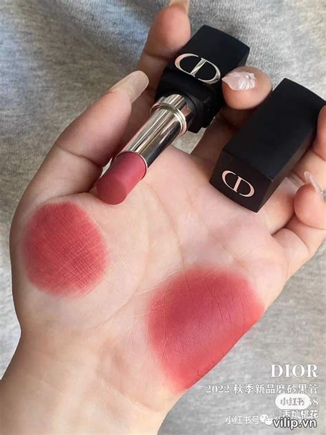 dior 558 forever grace swatch